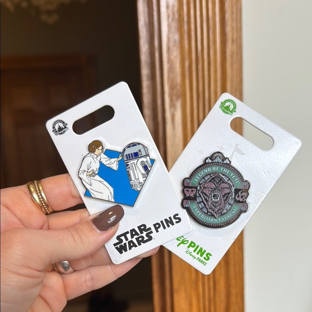 Star Wars and Legend of expedition Everest Disney pins